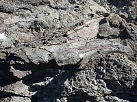 Dinosaur national park (6).JPG